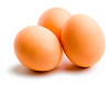 Chicken egg