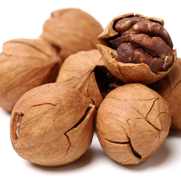 Орех гикори (кария пекан)