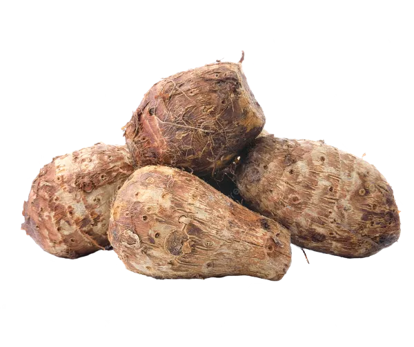 Колоказия (таро)