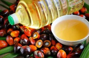 Масло пальмовое