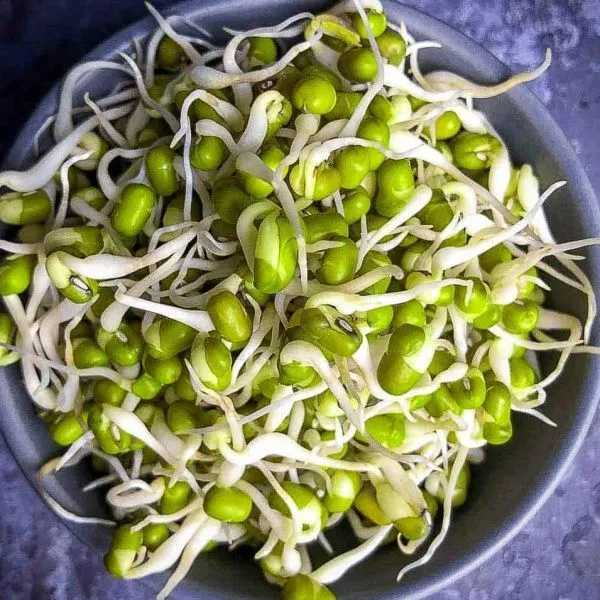Маш (бобы мунг)