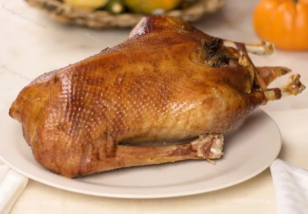 Гусь домашний