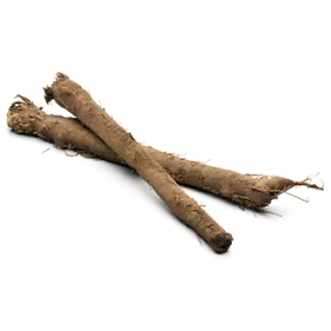 Козлобородник (корень козлобородника)